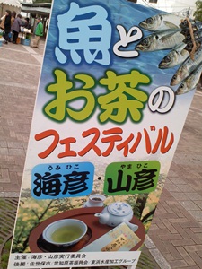 島瀬公園　海彦・山彦　魚とお茶のフェスティバル